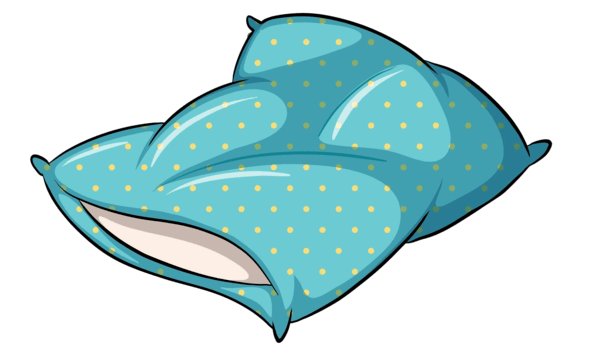 pillow with blue pillowcase